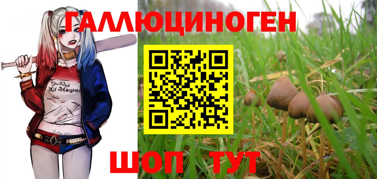 Галлюциногенные грибы GOLDEN TEACHER Можга