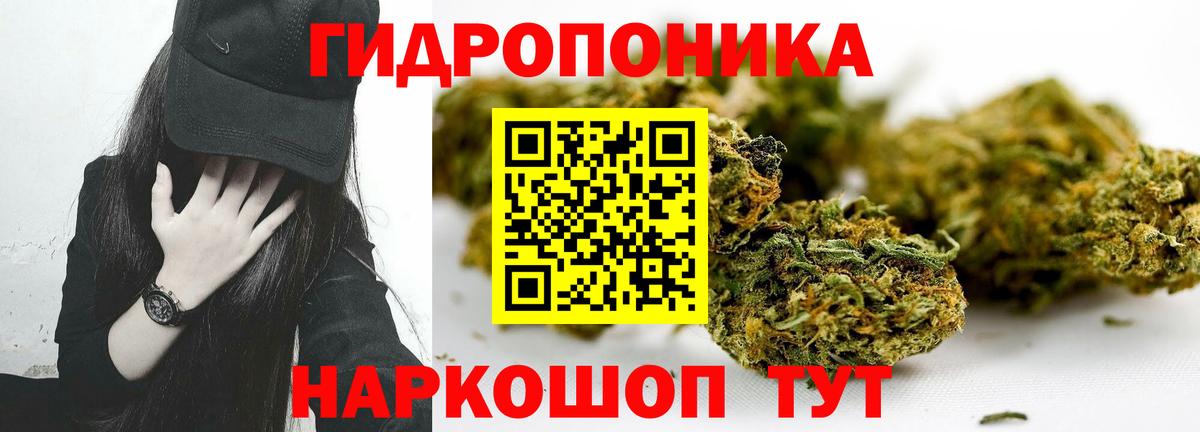 Канабис индика Можга